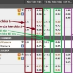 Cách đọc kèo bóng đá