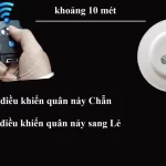 Dụng cụ xóc đĩa bịp